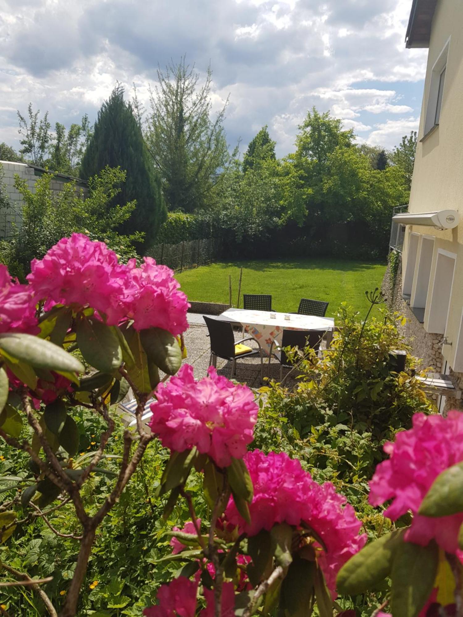 Ferienwohnung Im Rurtal Kreuzau Εξωτερικό φωτογραφία